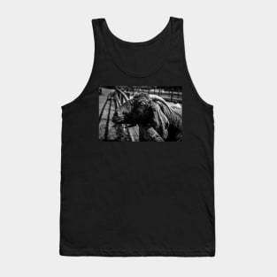 Community Farm Goat Tank Top